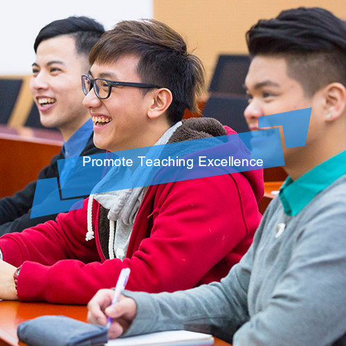Promote Teaching Excellence.jpg